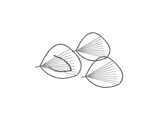 Hand-drawn cluster of three ridged pasta shells with visible hollow scoops