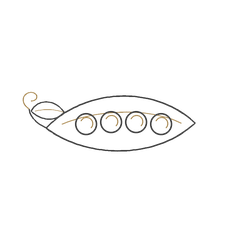 Hand-drawn open pea pod with four peas inside